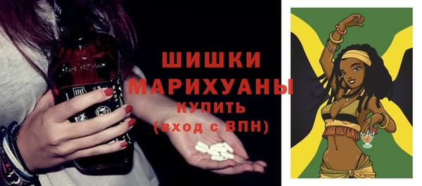бошки Богородицк