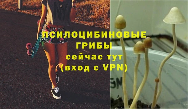 стафф Бородино
