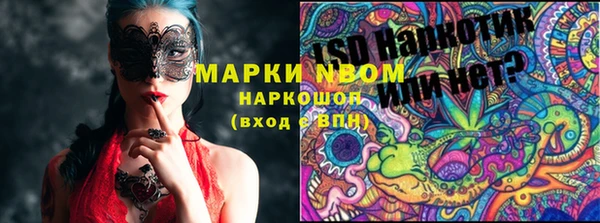 бошки Богородицк