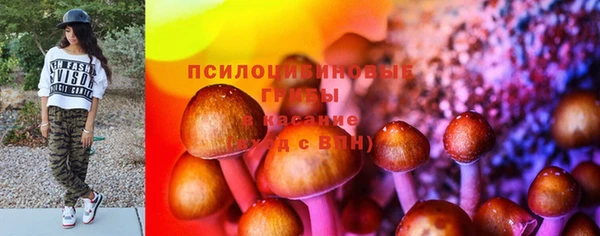 бошки Богородицк