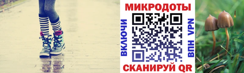 Галлюциногенные грибы Magic Shrooms  omg зеркало  Бородино 